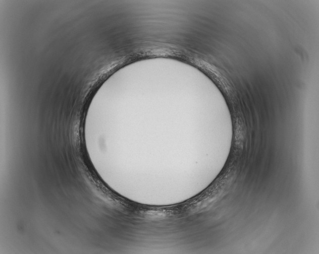 X0000110930394200907301628