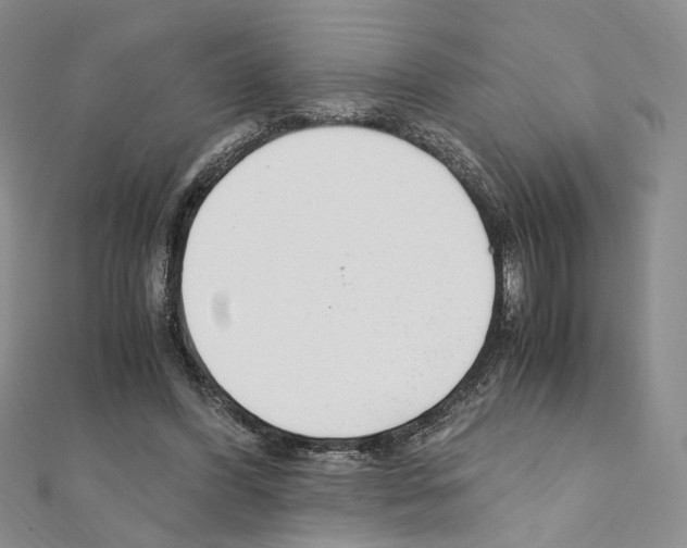 X0000110930396200907301628