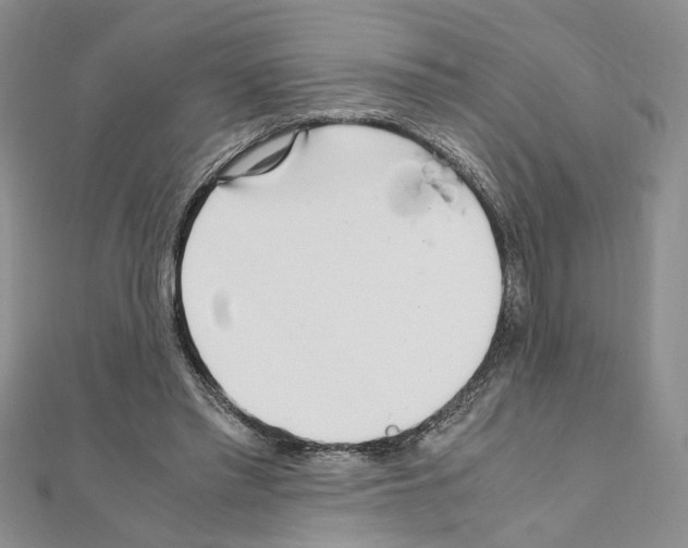 X0000110930397200907301628