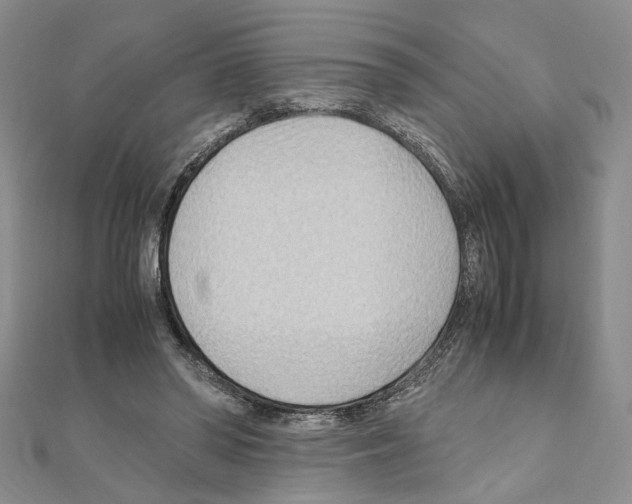 X0000110930398200907301628