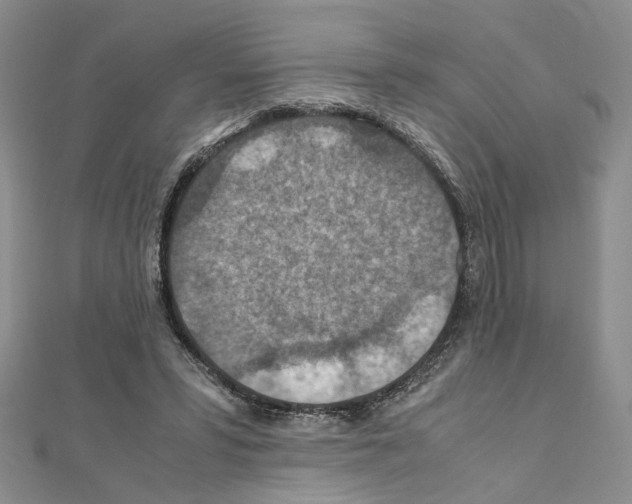 X0000110930399200907301628