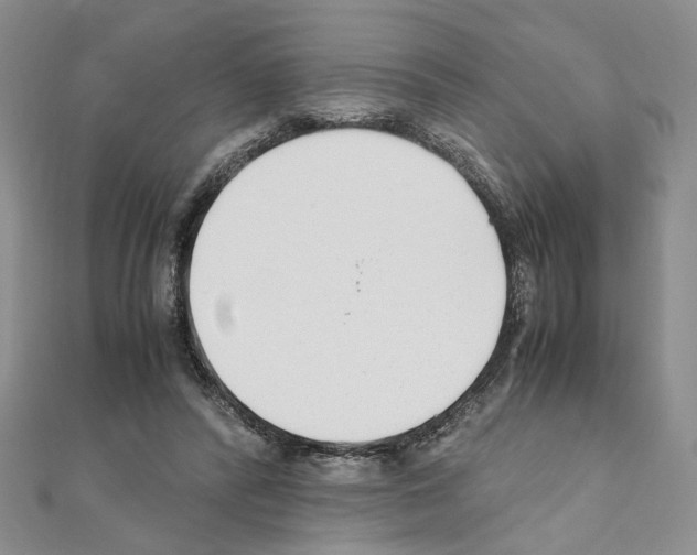 X0000110930400200907301628