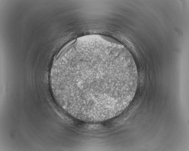 X0000110930401200907301628