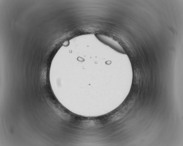 X0000110930404200907301628