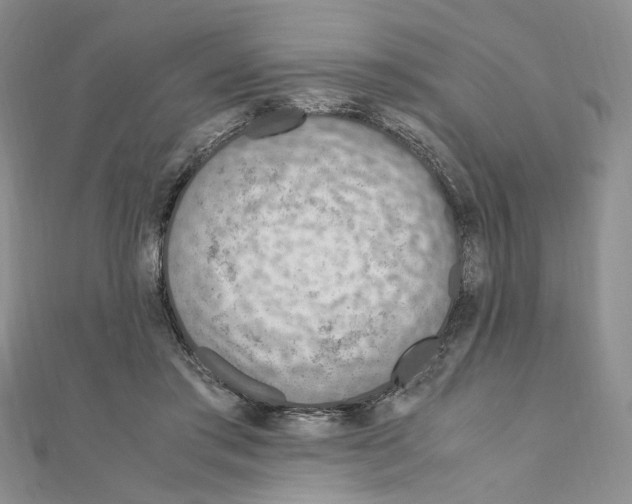 X0000110930405200907301628