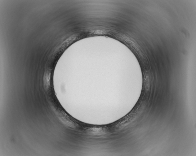 X0000110930406200907301628