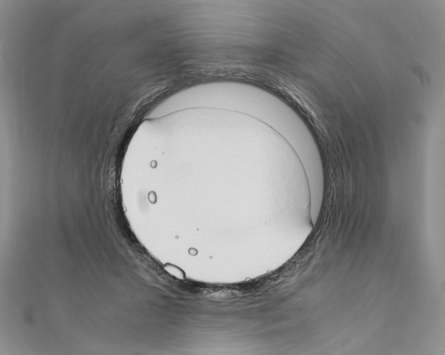 X0000110930407200907301628