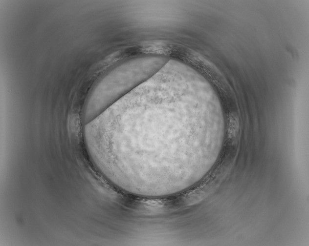 X0000110930409200907301628