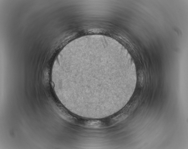 X0000110930410200907301628