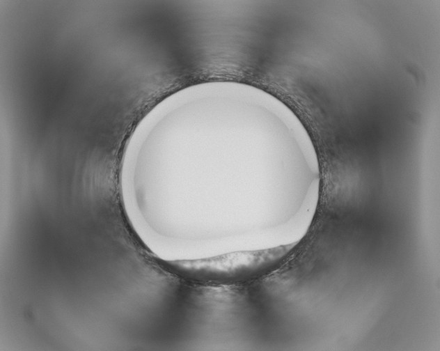 X0000110930411200907301628