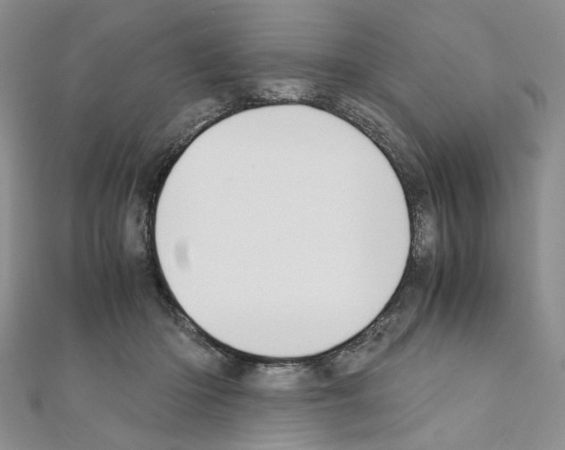 X0000110930414200907301628