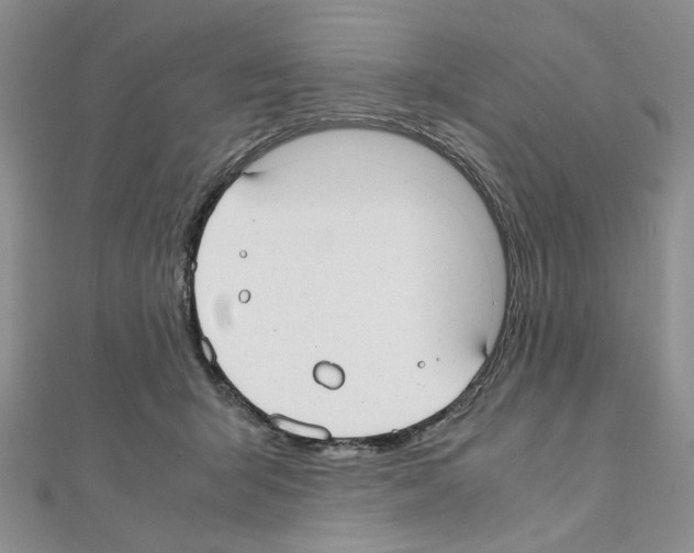 X0000110930415200907301628