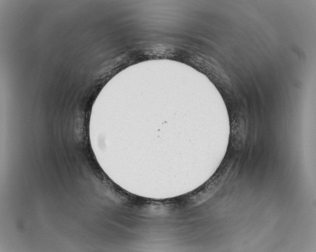 X0000110930416200907301627