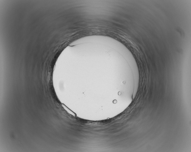 X0000110930417200907301627
