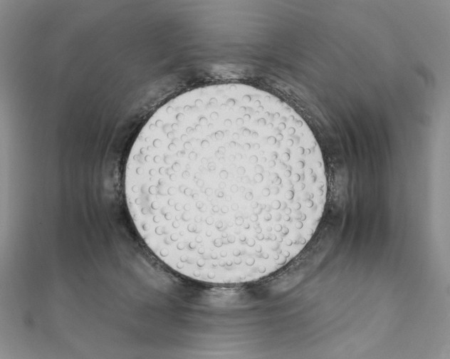 X0000110930418200907301627