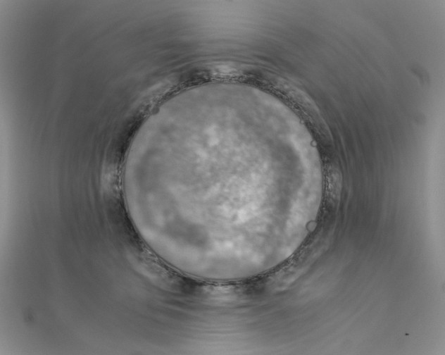 X0000110930419200907301627