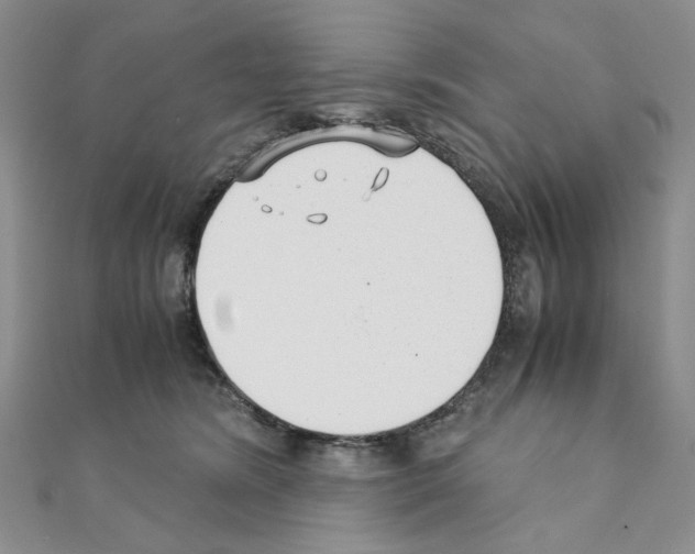 X0000110930420200907301627
