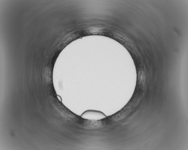 X0000110930421200907301627