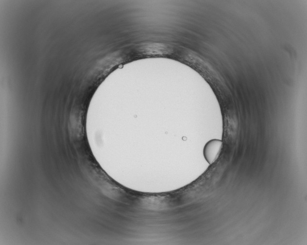 X0000110930422200907301627