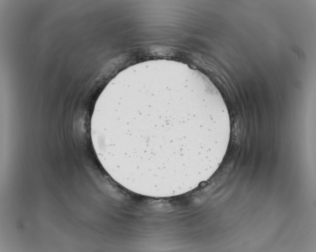 X0000110930424200907301627