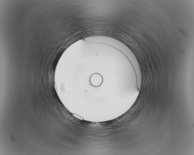 X0000110930425200907301627
