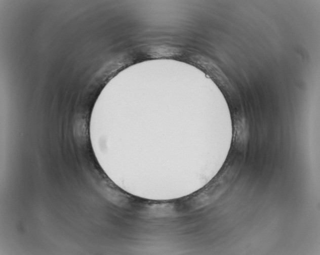 X0000110930426200907301627
