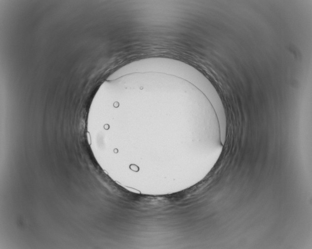 X0000110930427200907301627