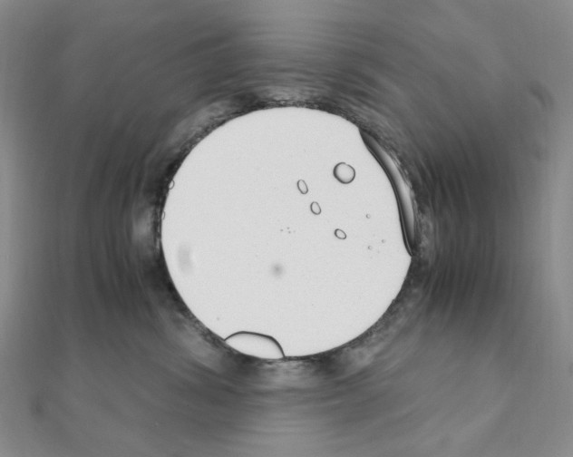 X0000110930428200907301627