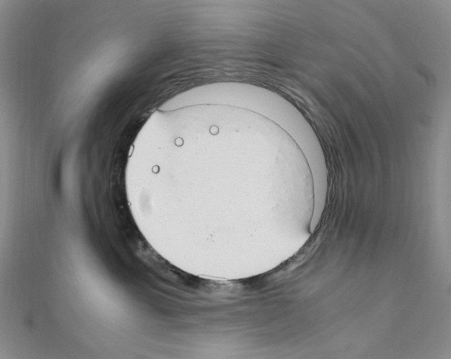 X0000110930429200907301627