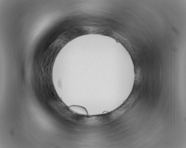 X0000110930430200907301627