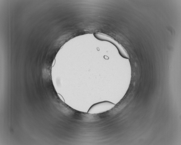 X0000110930432200907301627