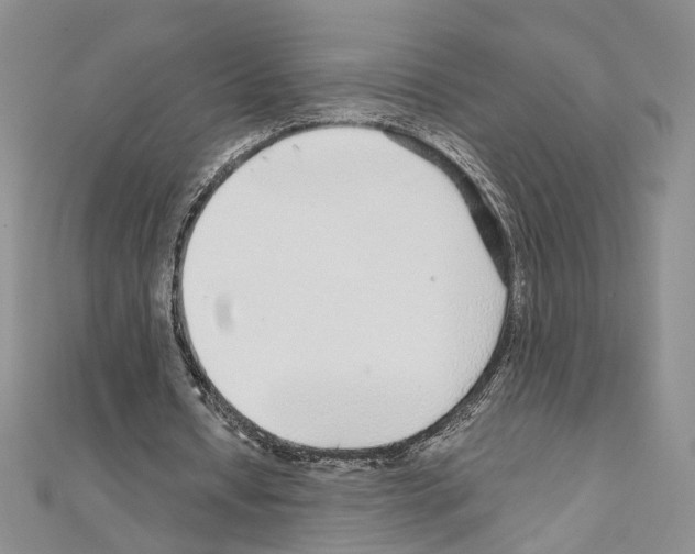 X0000110930434200907301627