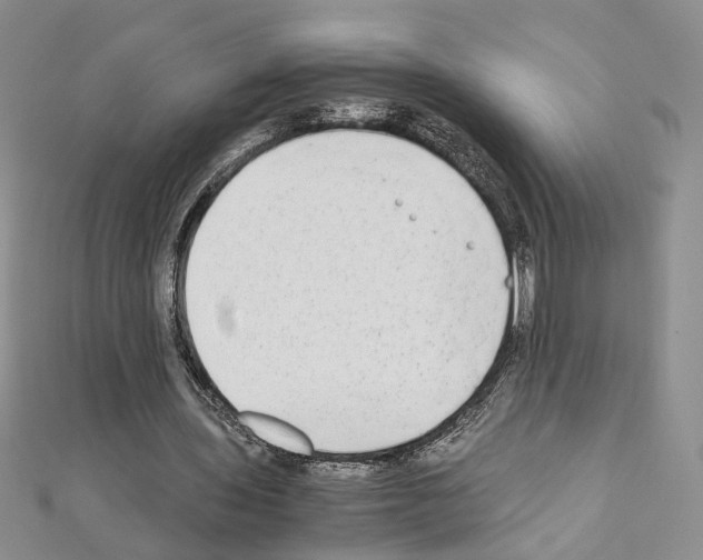 X0000110930435200907301627