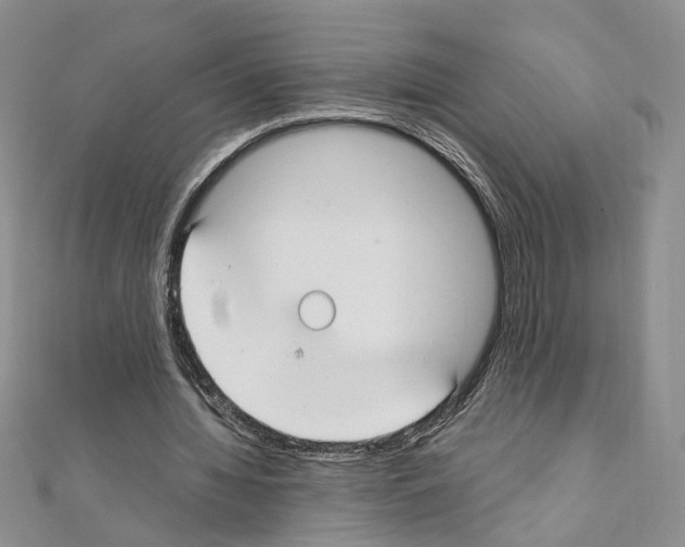 X0000110930436200907301627