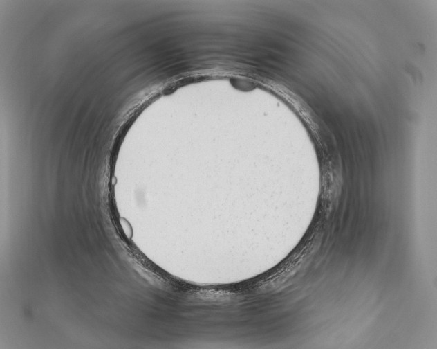 X0000110930437200907301627