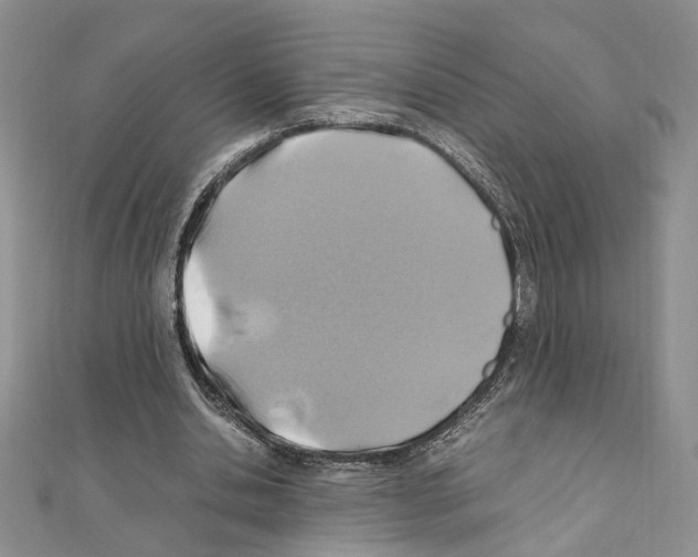 X0000110930438200907301627