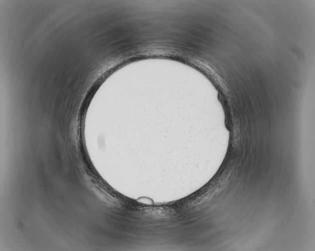 X0000110930439200907301627
