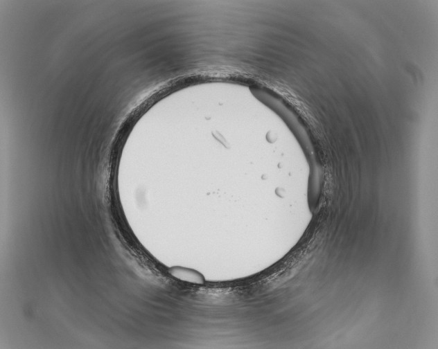 X0000110930440200907301627