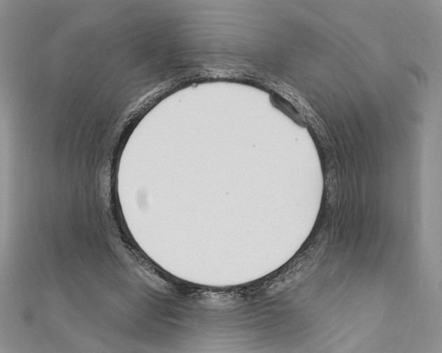 X0000110930442200907301627