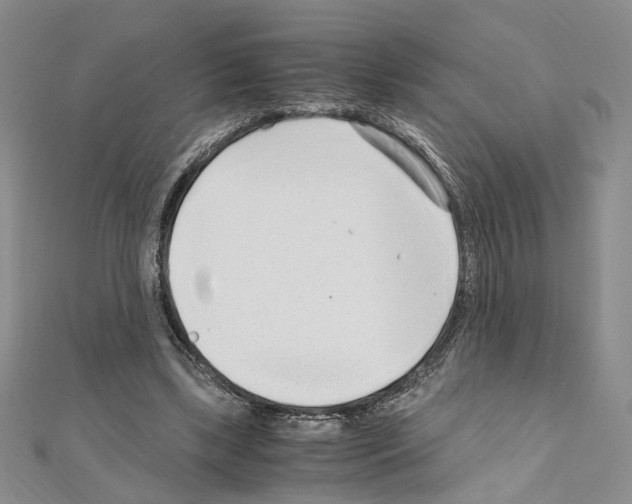 X0000110930443200907301627