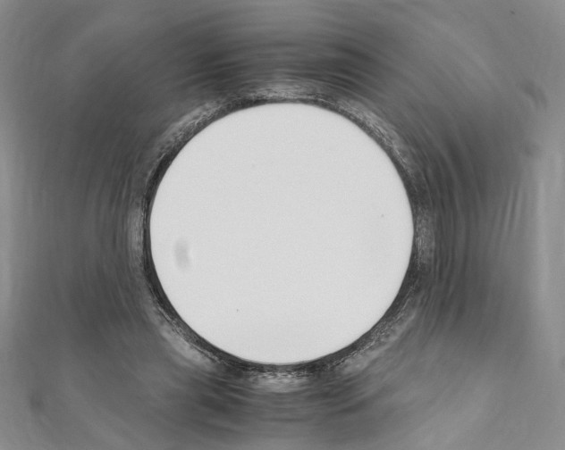 X0000110930445200907301627