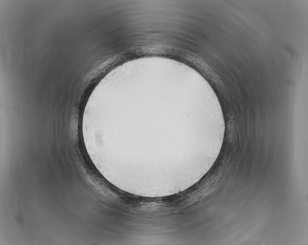 X0000110930446200907301627