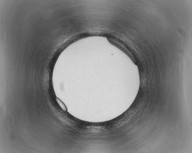 X0000110930448200907301627