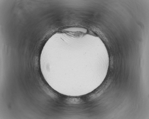 X0000110930449200907301627