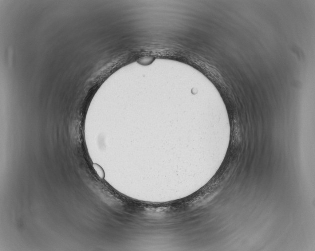 X0000110930450200907301627