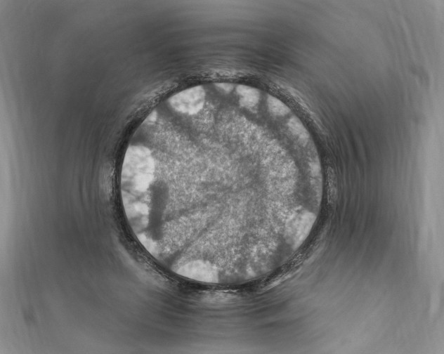 X0000110930451200907301627