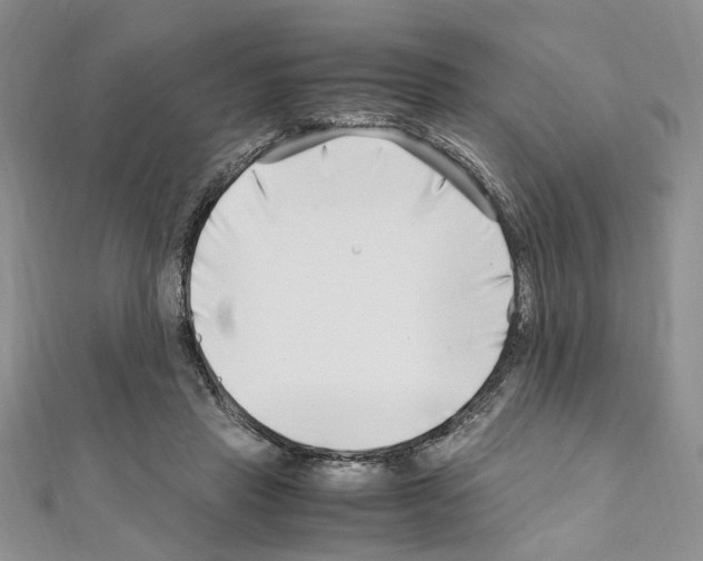 X0000110930453200907301627