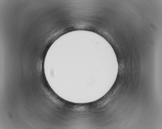 X0000110930454200907301627