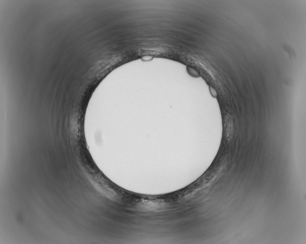 X0000110930455200907301627