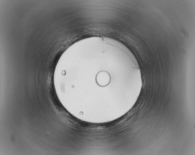 X0000110930456200907301627